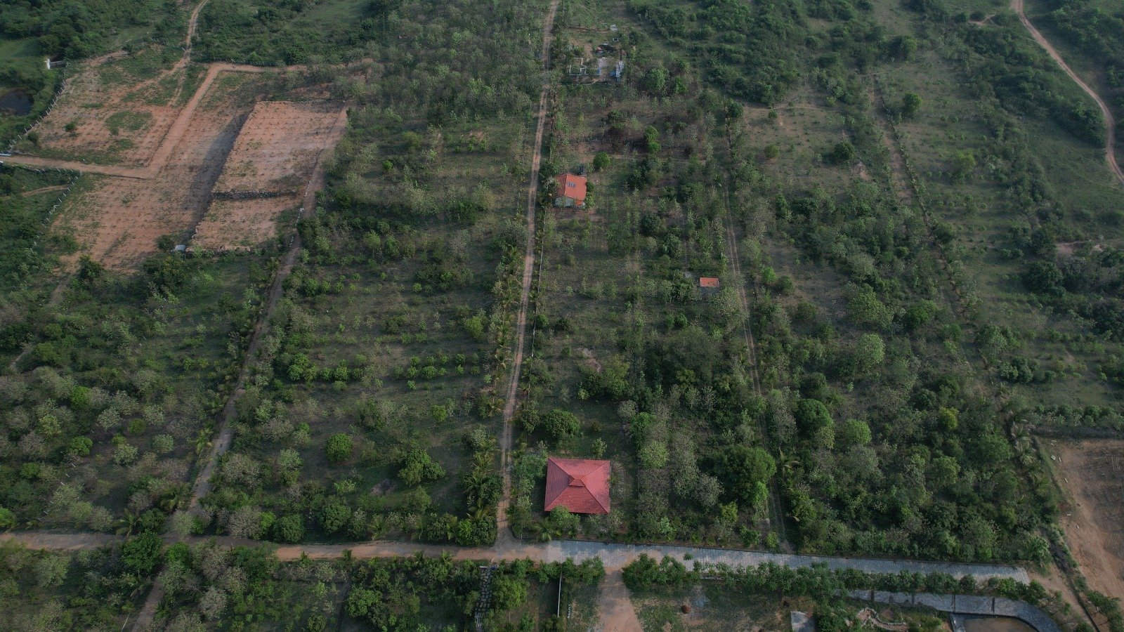 Plan 10